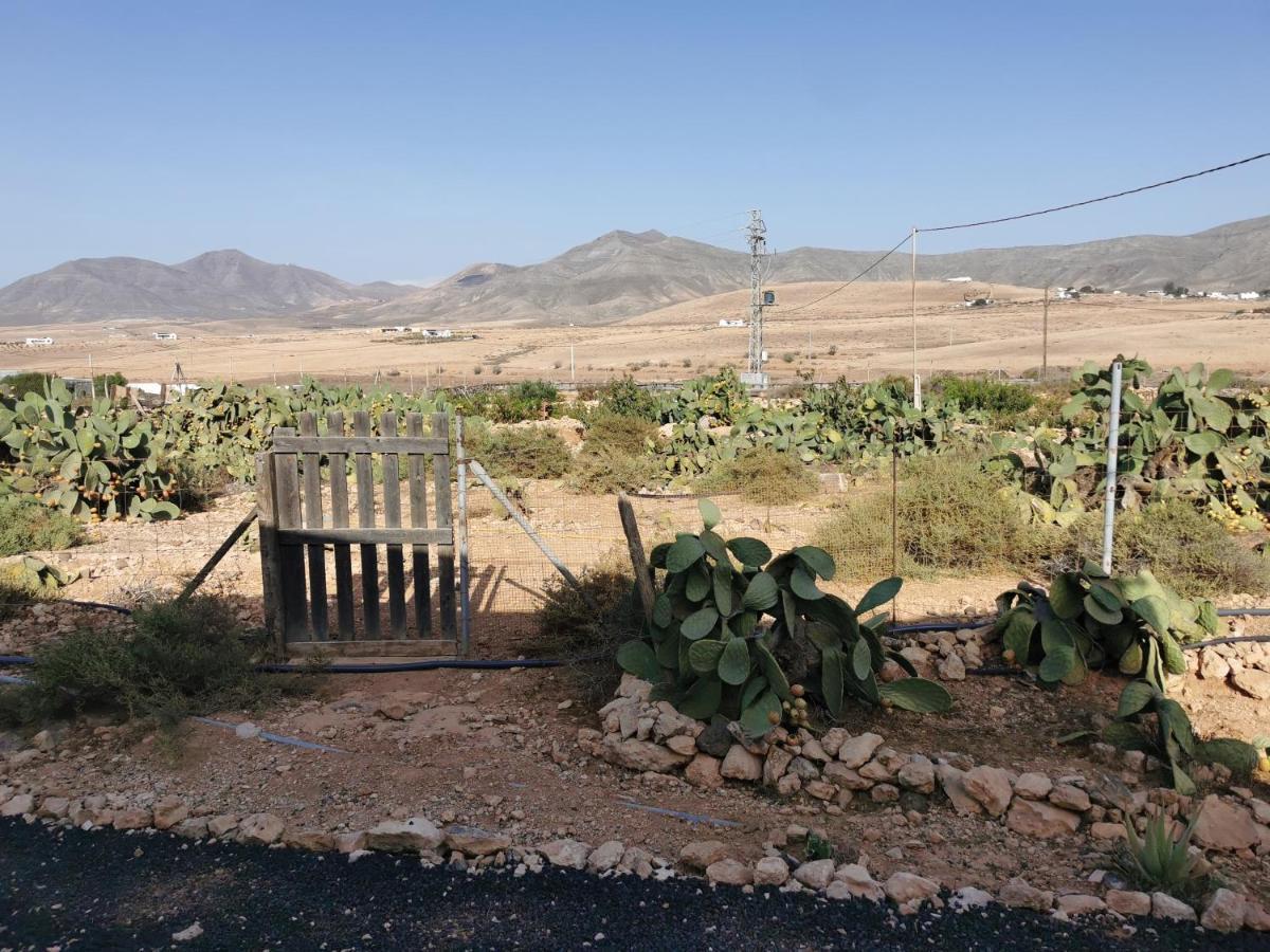 Villa Cecilio Tefia Bagian luar foto